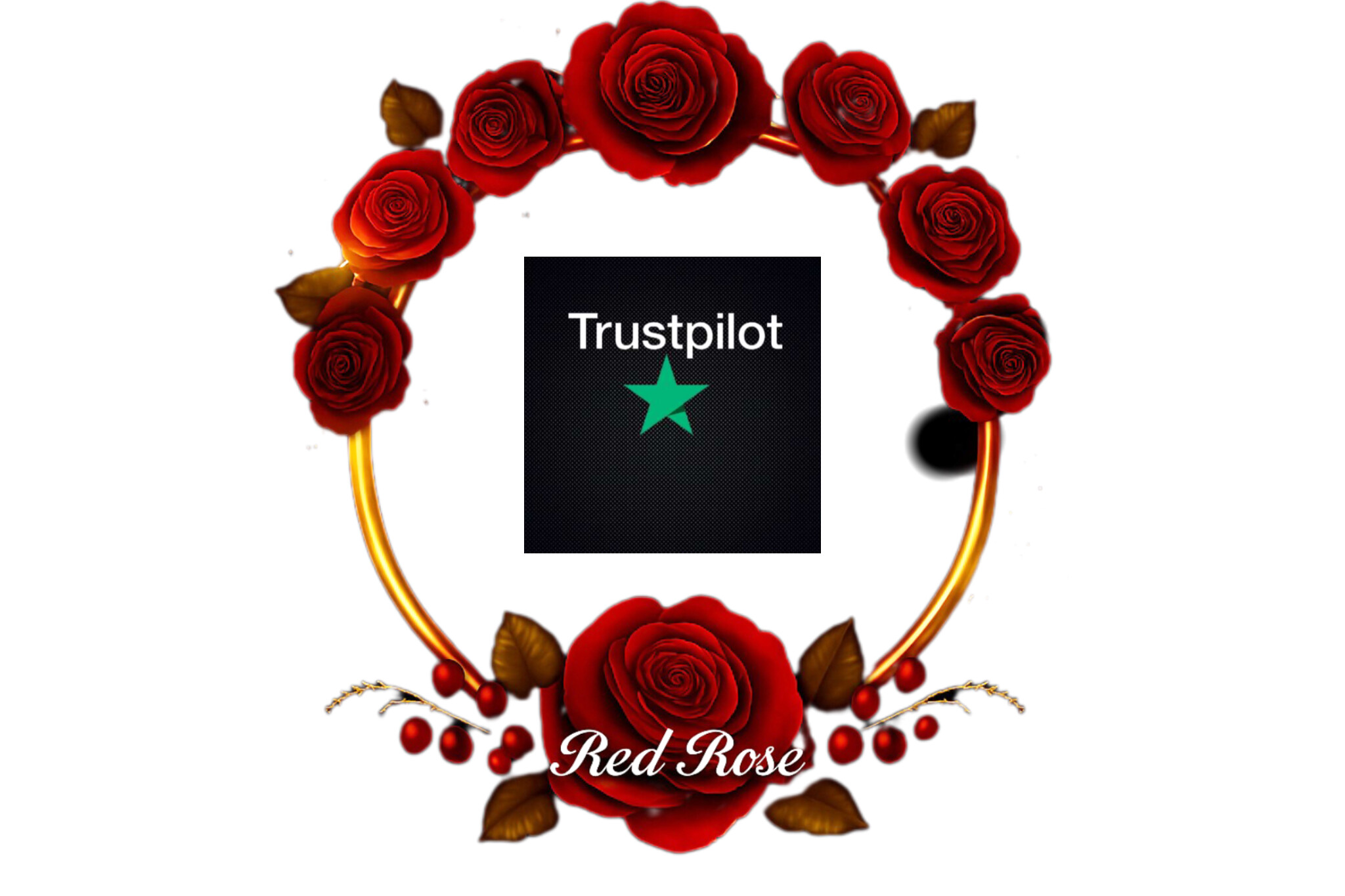 feature-image